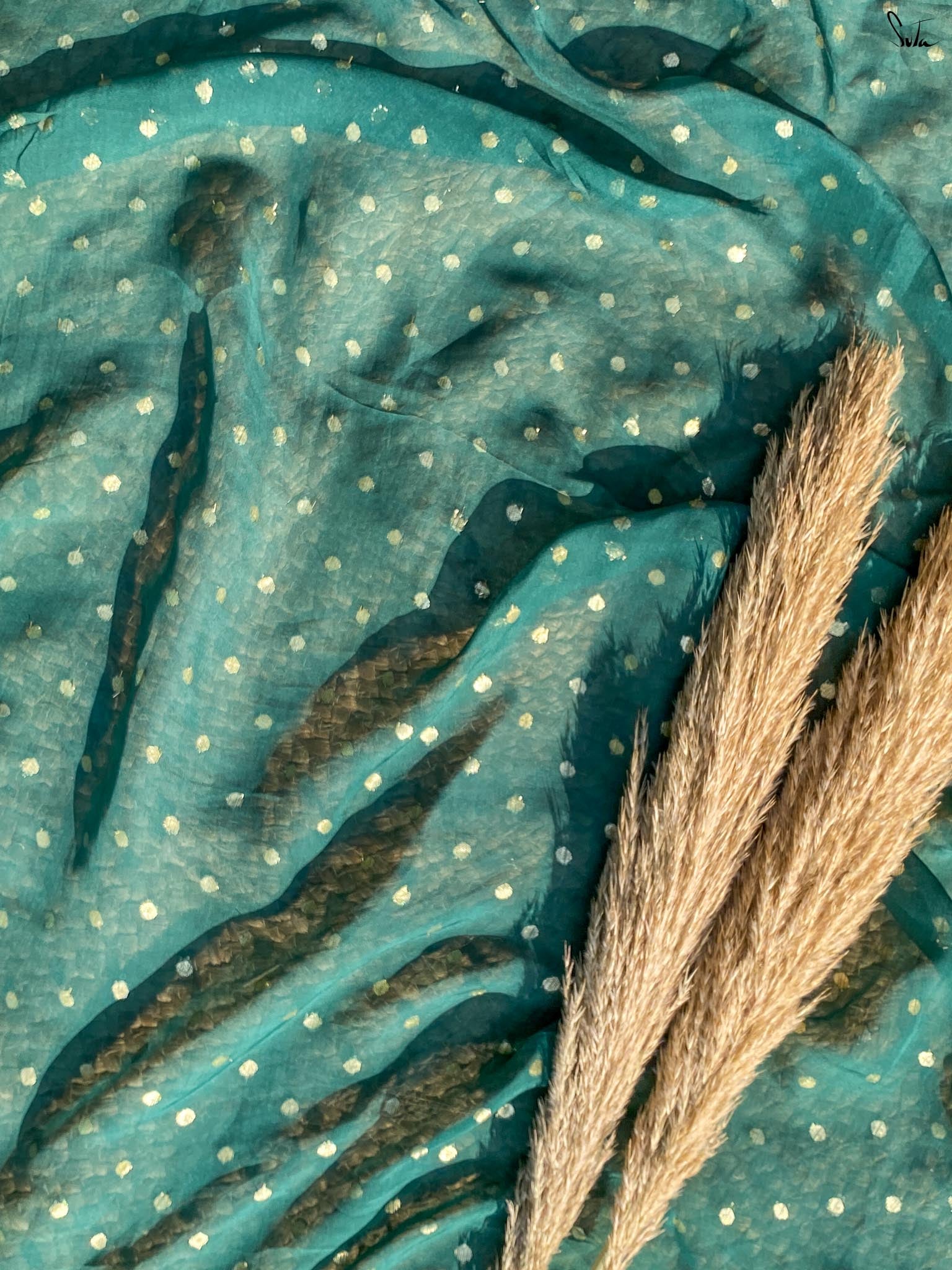 Chandni Bindu