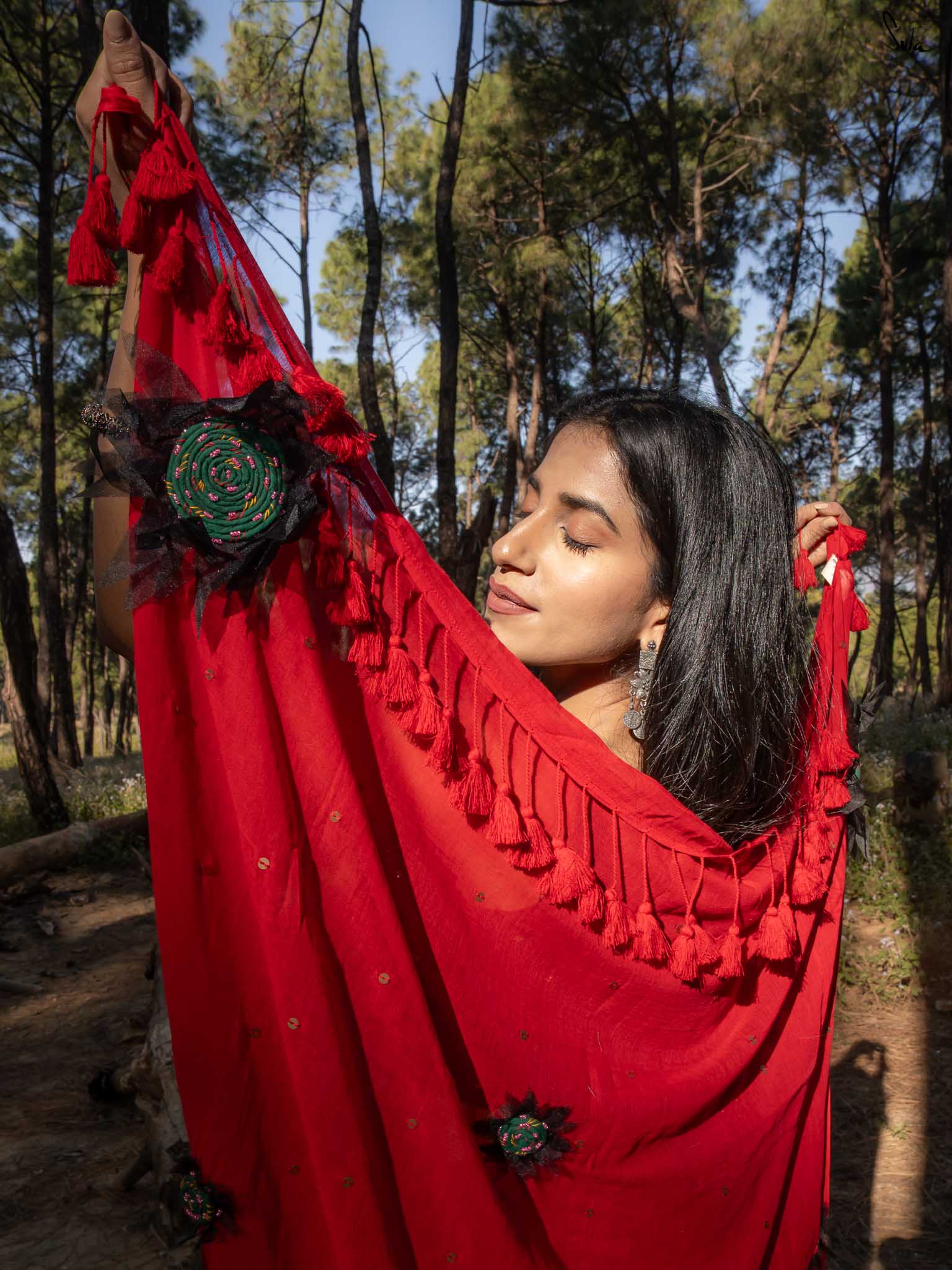 Dipped In Red Sunflower