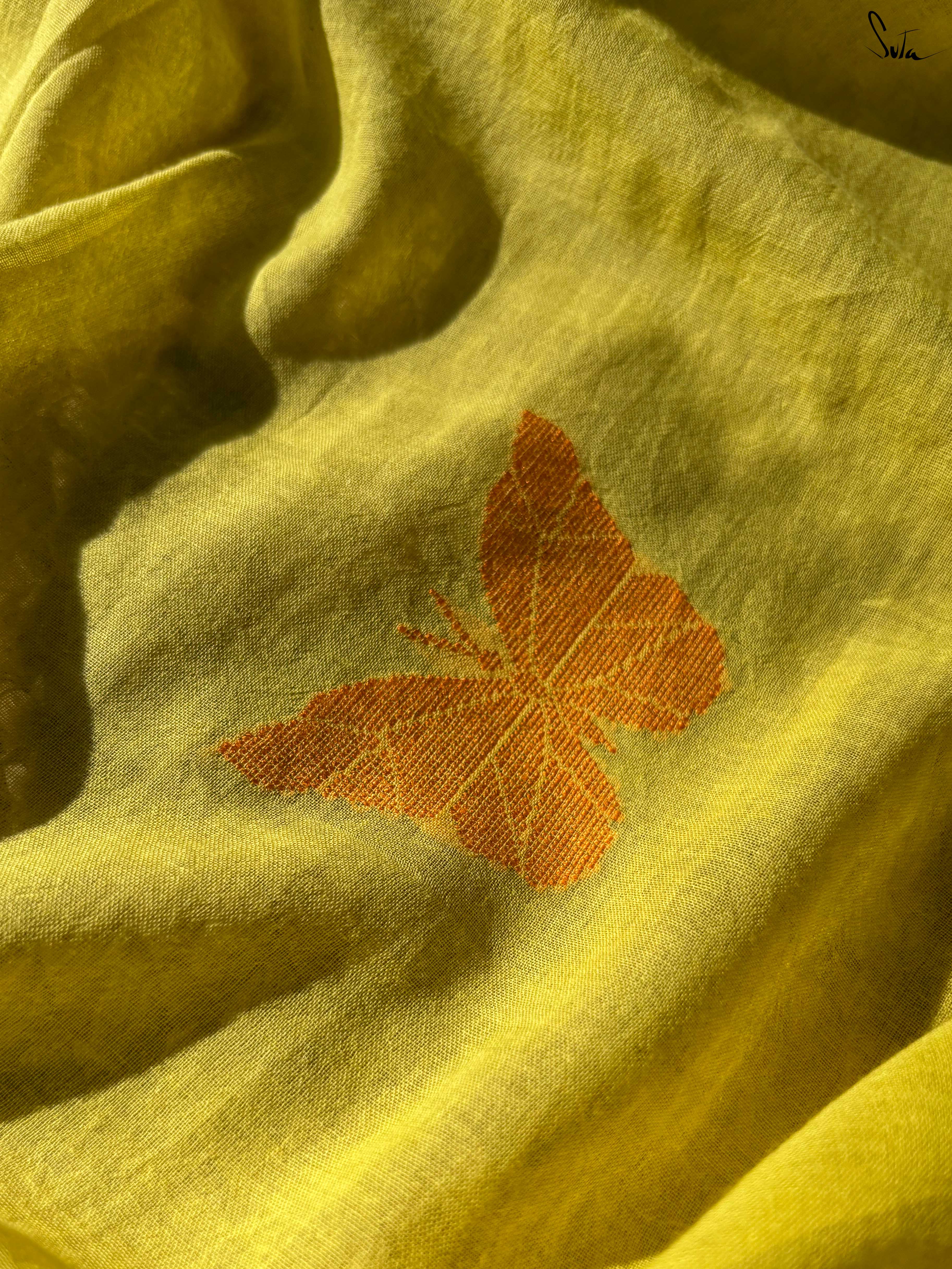 Olive Oracle