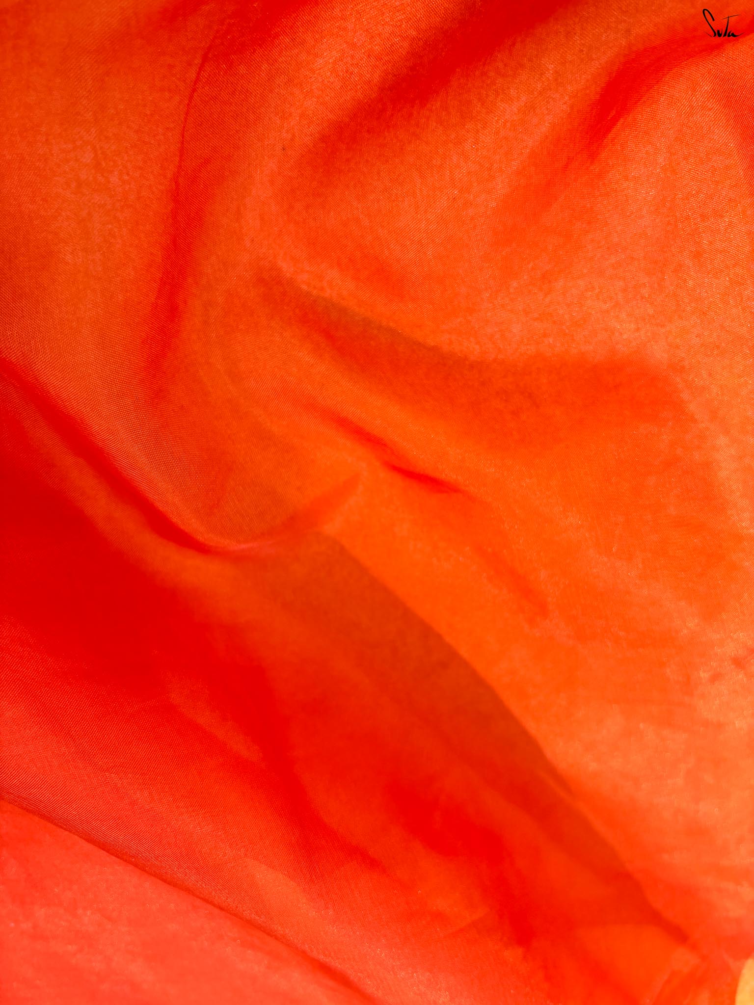 Hibiscus Glow