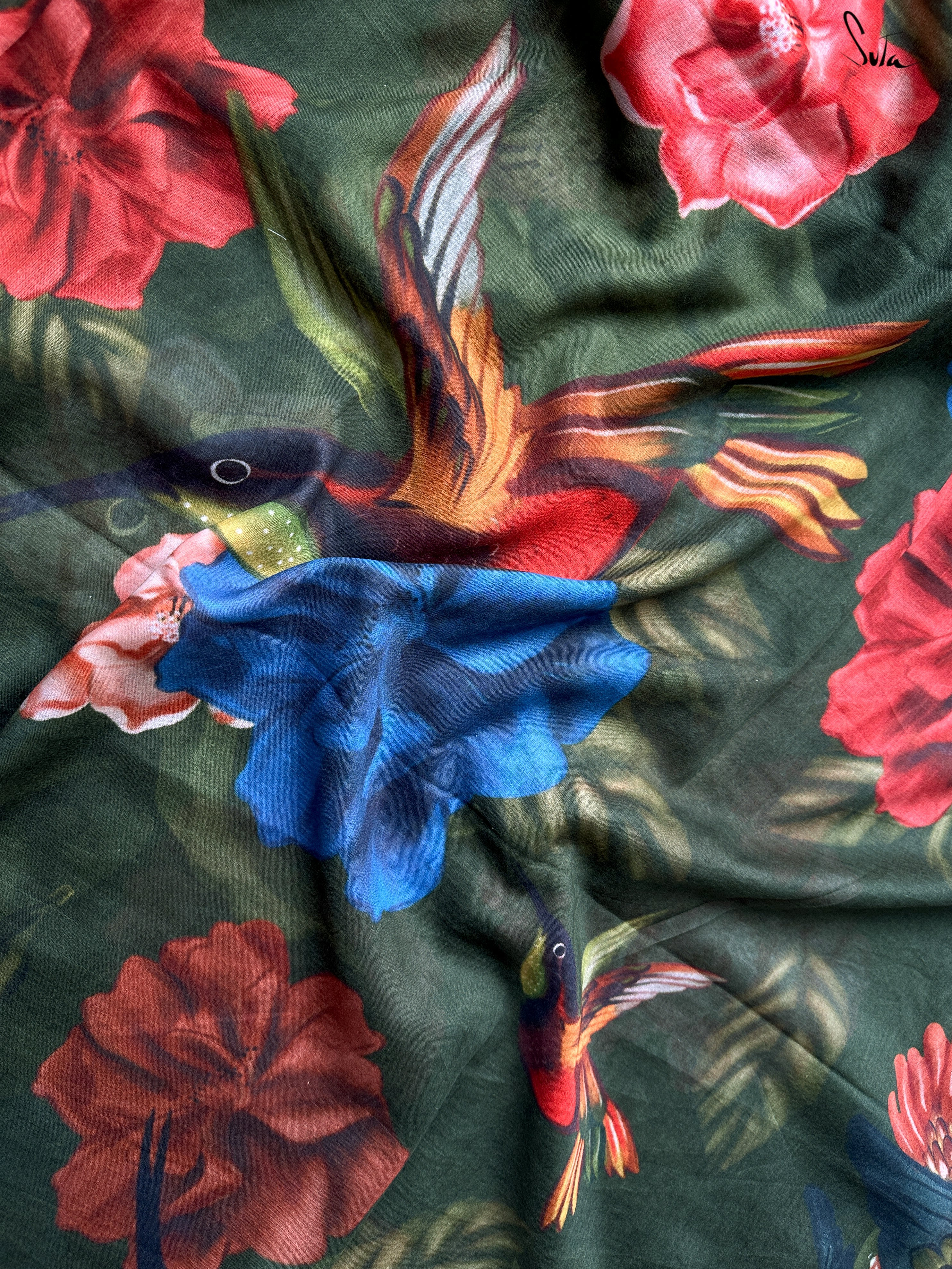 Scarlet Macaw