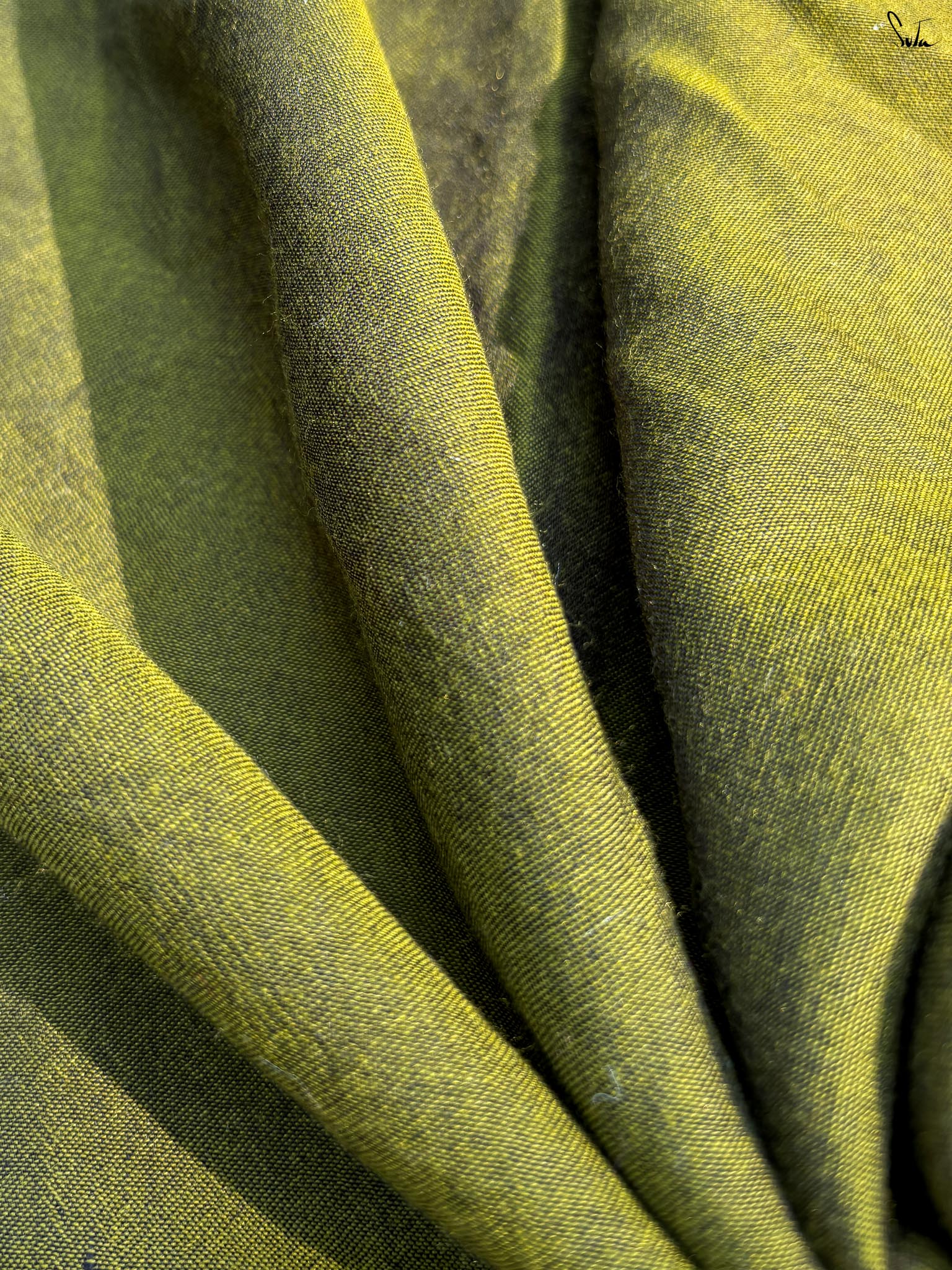 Olive Aura