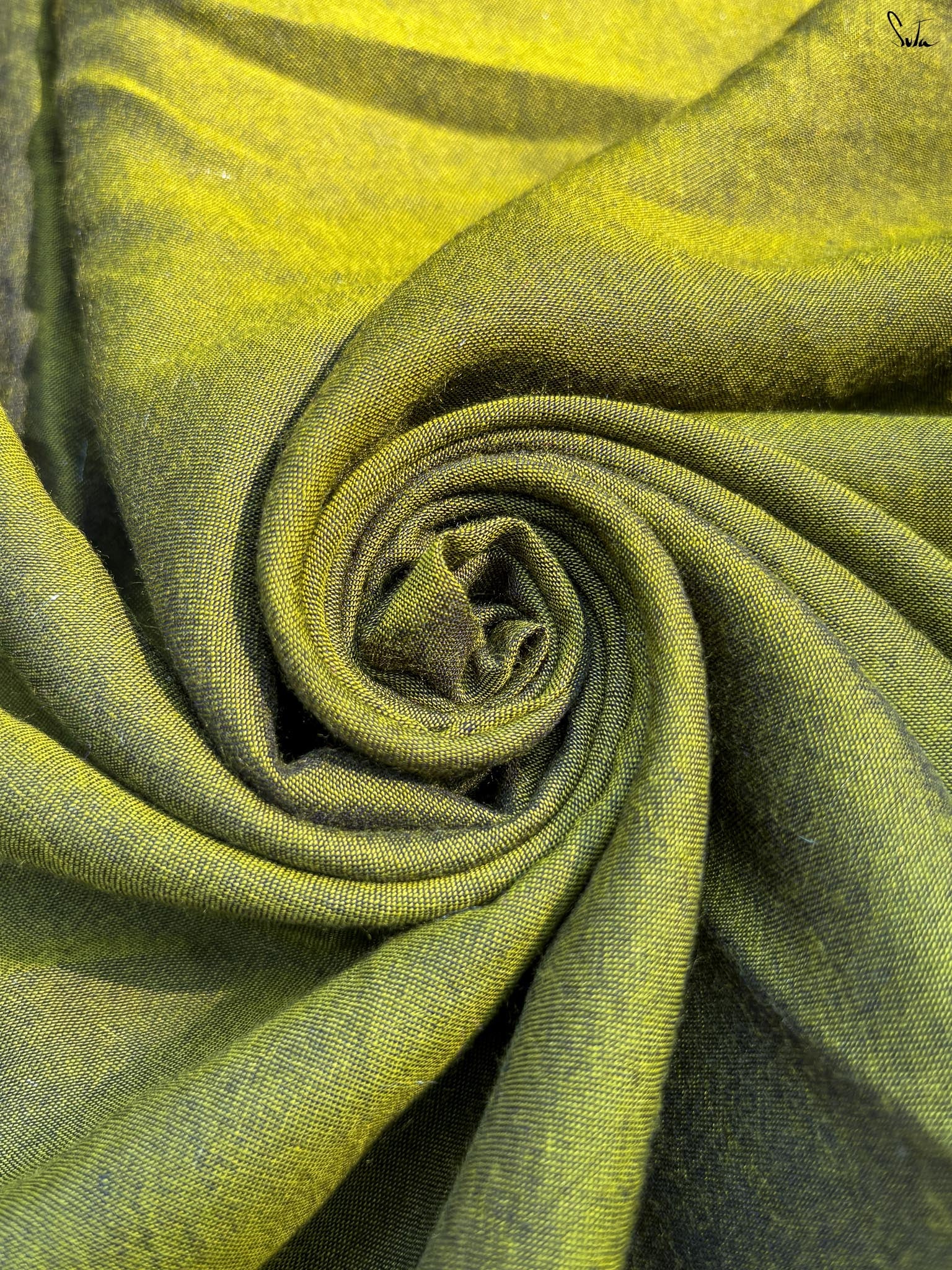 Olive Aura