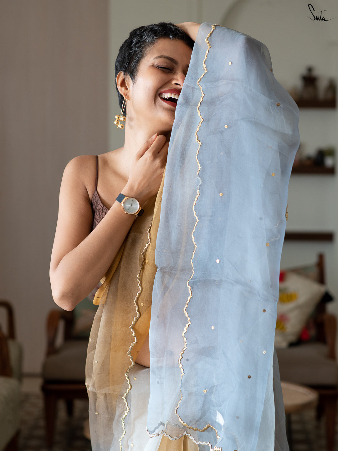 Holly Grey Saree