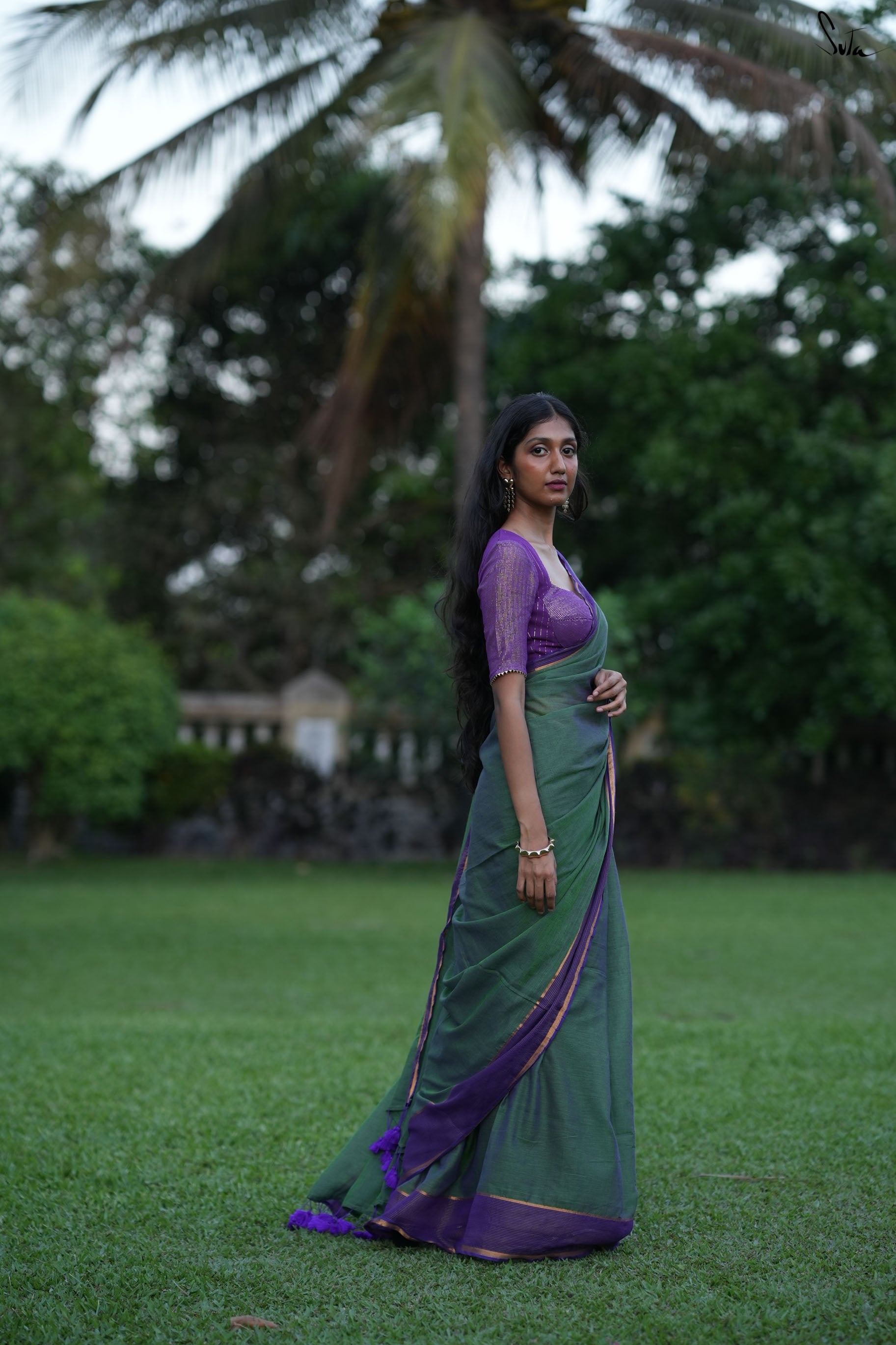 Stripe Border Mul Zari saree 7