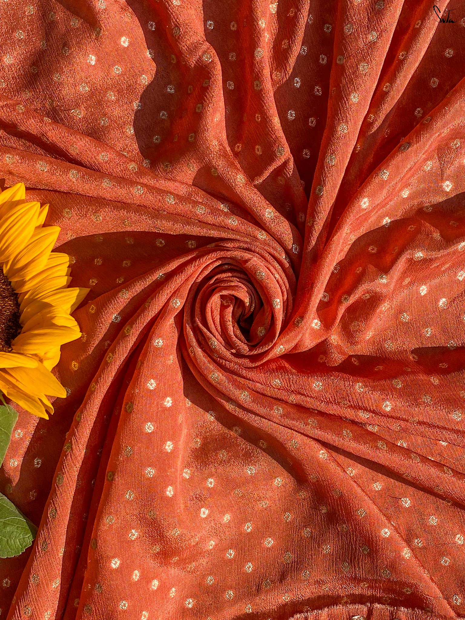 Sun-Kissed Rose