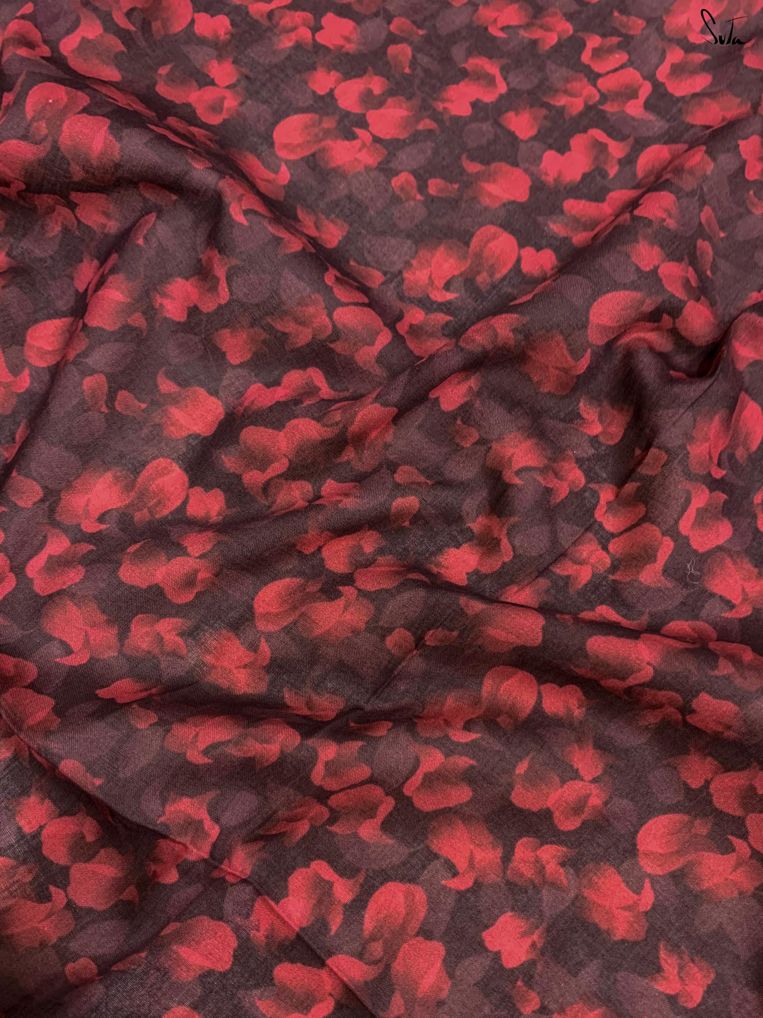 Coral bells