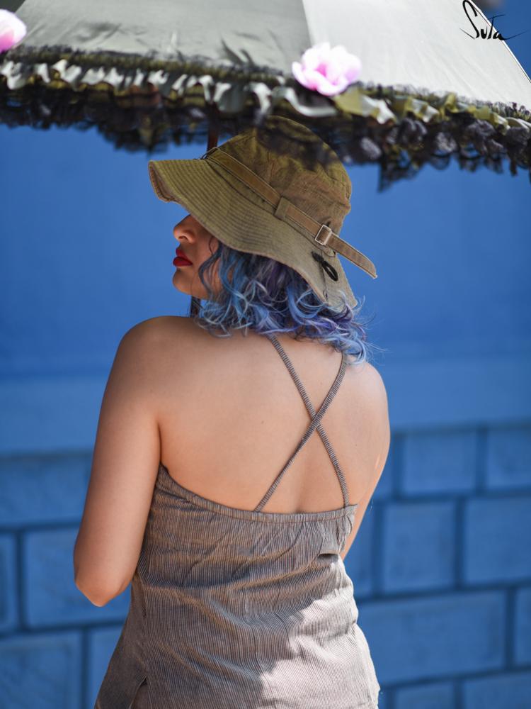 Grasslands and Savannas (UnderLay Top) - suta.in