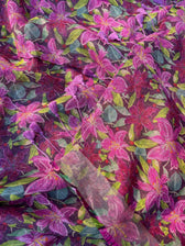 Orchid Haze