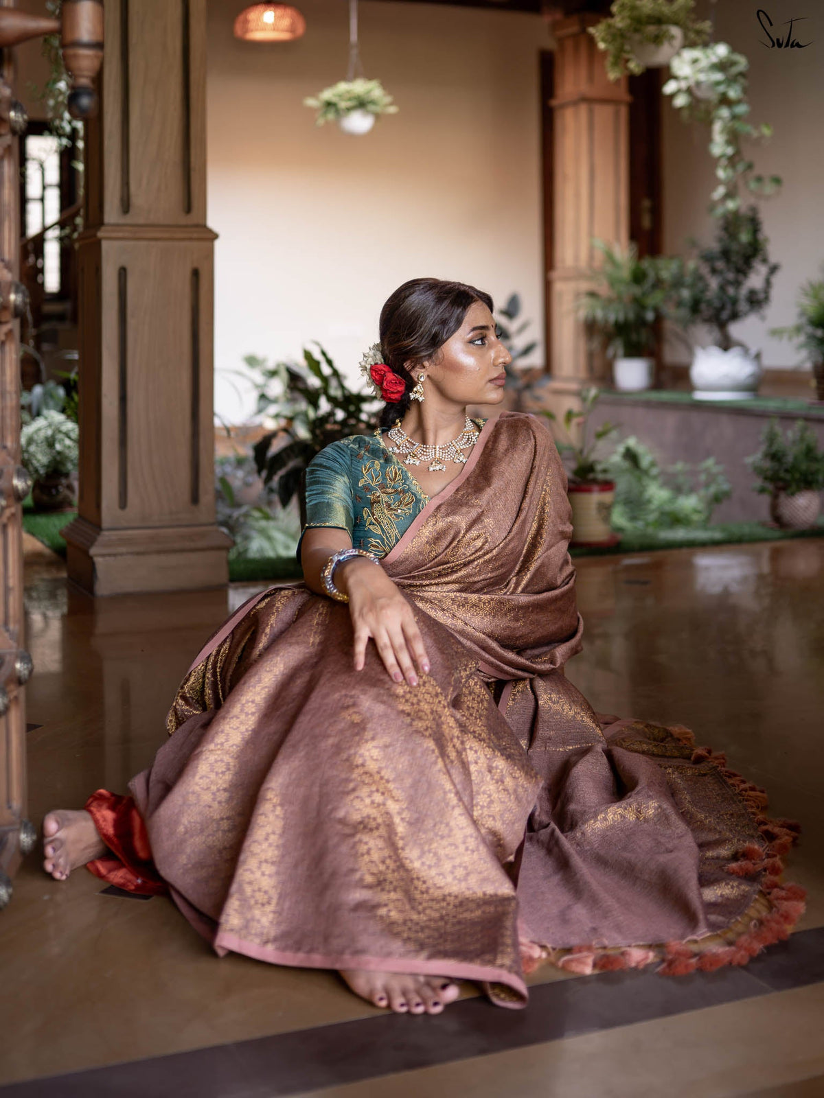Banjaari Bulbul
