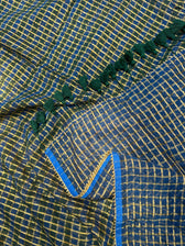 Blue Wings