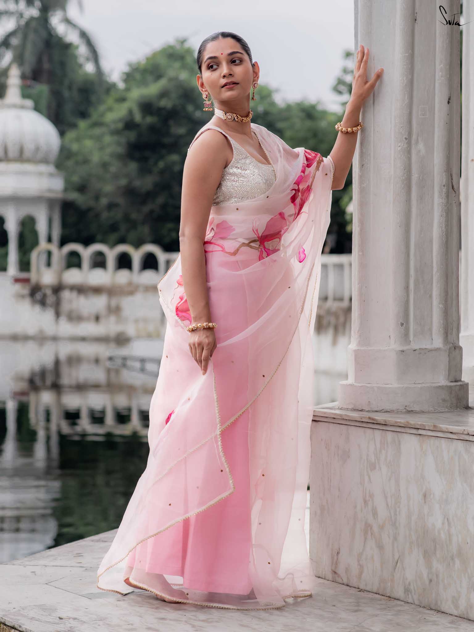 Blushing Magnolia Blooms