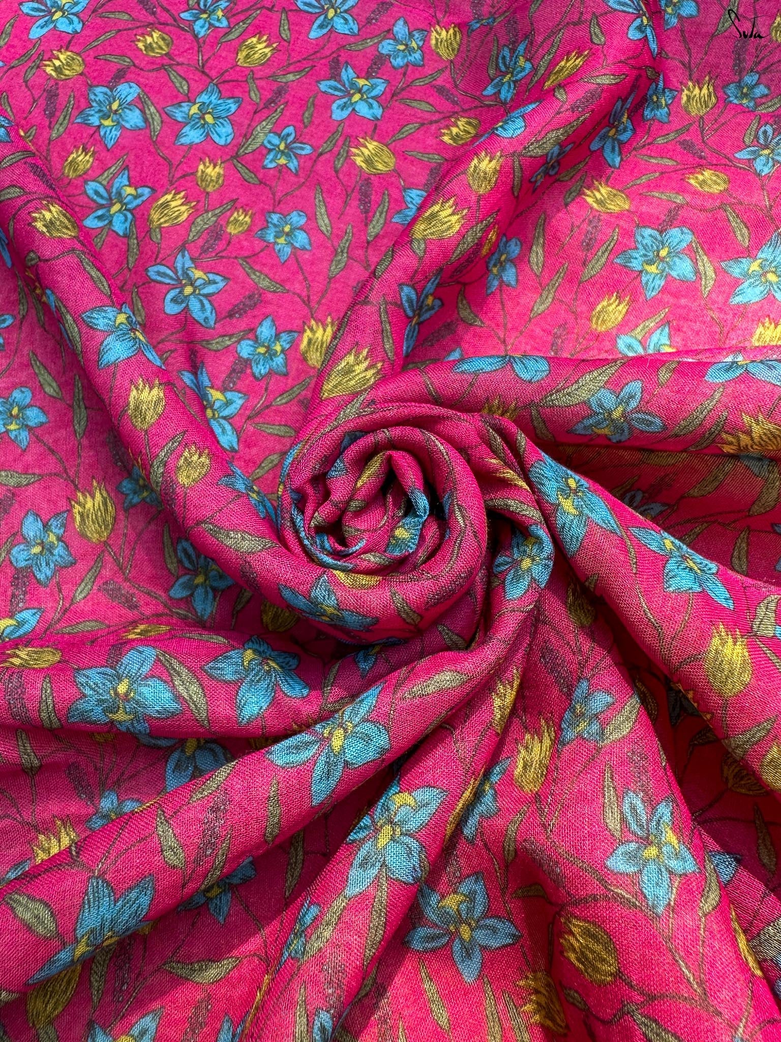 Colors in Bloom