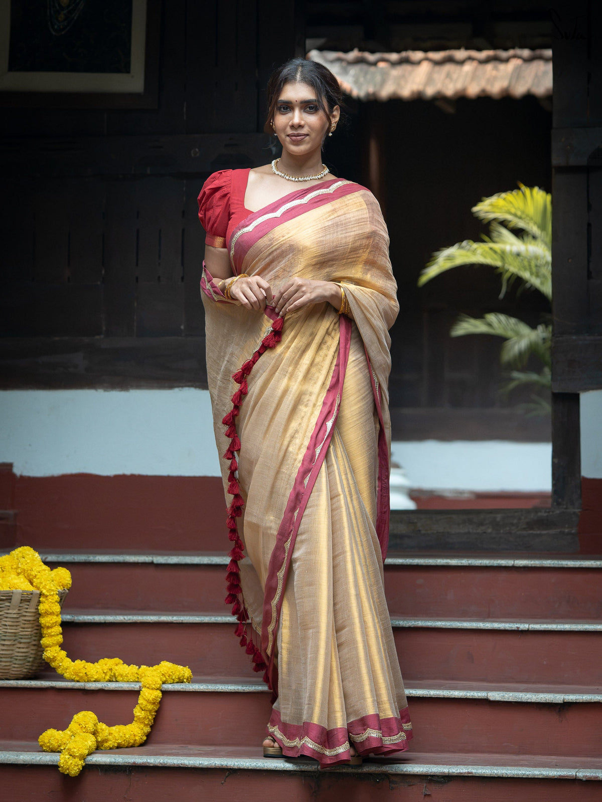 Suta x Dushara Ponvaani -  Gold Cotton Tissue Saree with Red & Gold Lace Border