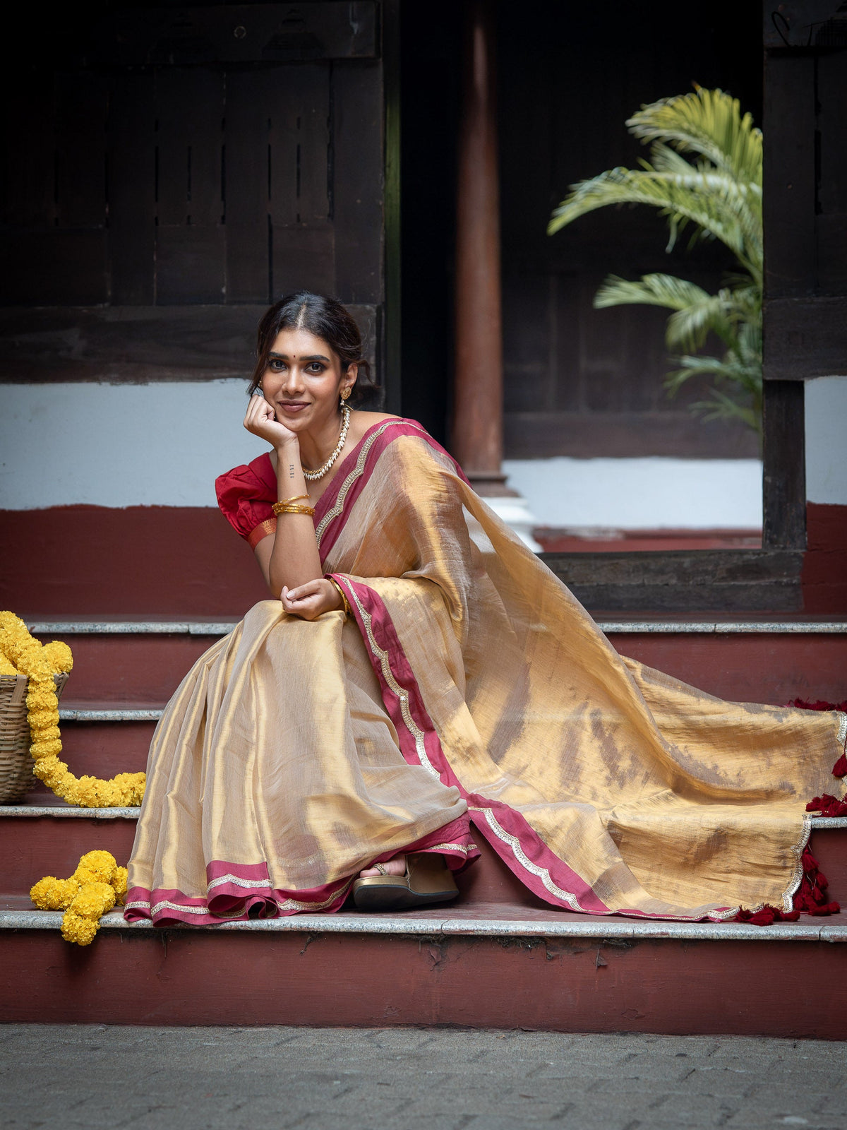 Suta x Dushara Ponvaani -  Gold Cotton Tissue Saree with Red & Gold Lace Border