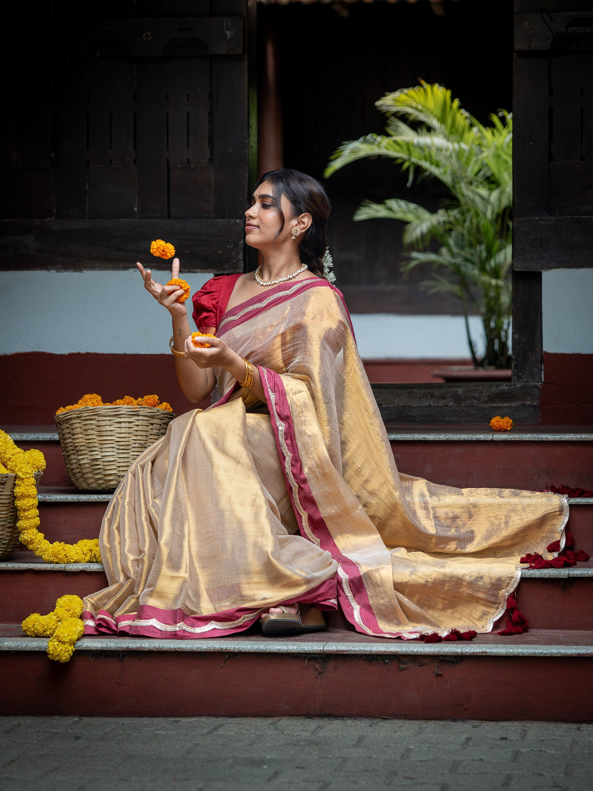 Suta x Dushara Ponvaani -  Gold Cotton Tissue Saree with Red & Gold Lace Border
