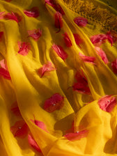 Dipped In Bougainvillea