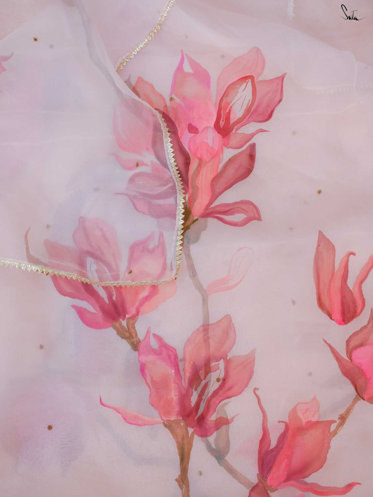 Blushing Magnolia Blooms