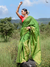 Saree Harmony