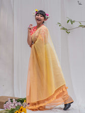 Sitara Sa Basant