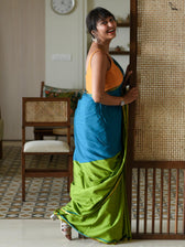 Double Trouble: Blue/Green Saree