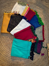 Saree Delight
