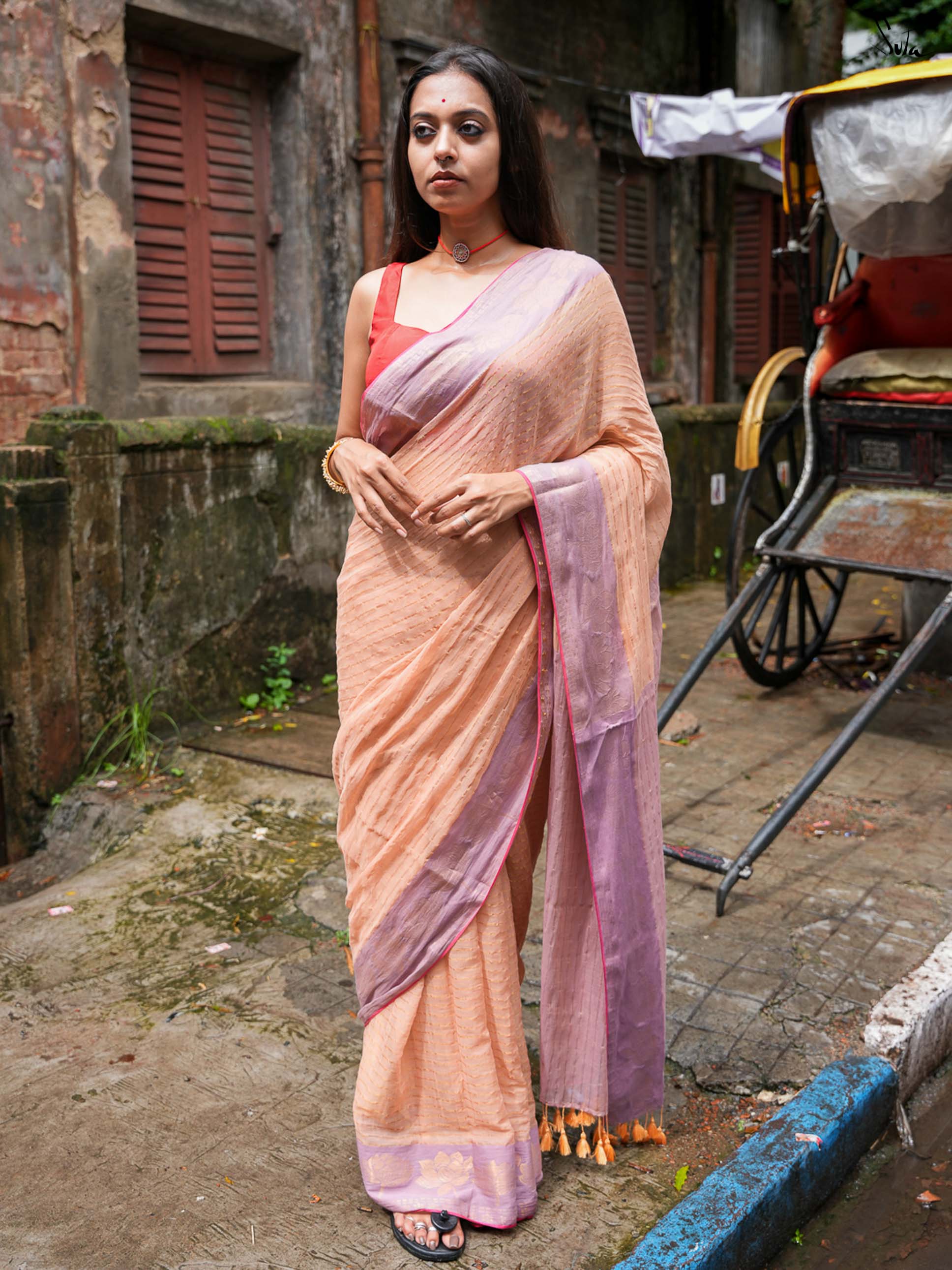 Meva pushkar