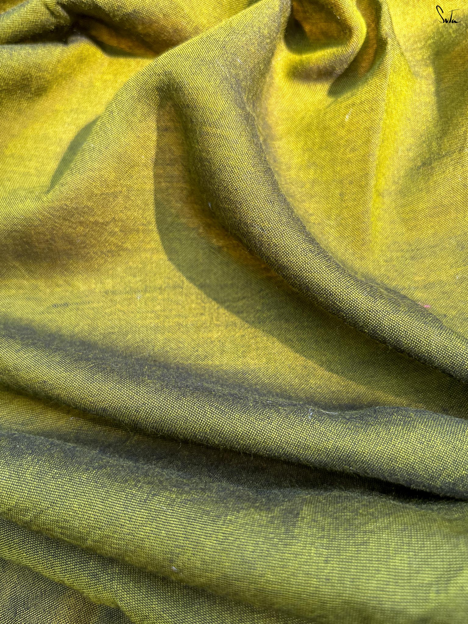 Olive Aura