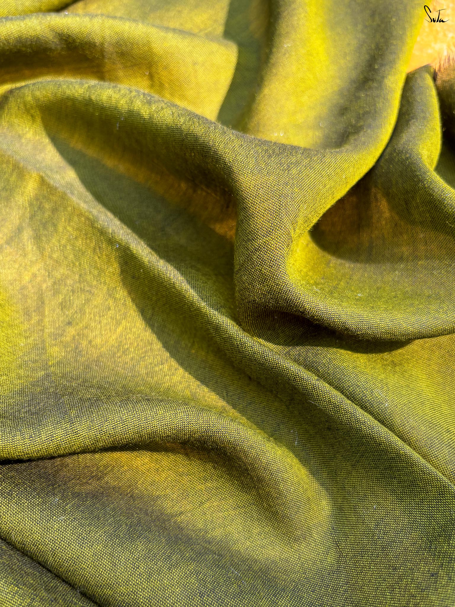 Olive Aura
