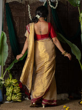 Ponvaani -  Gold Cotton Tissue Saree with Red & Gold Lace Border