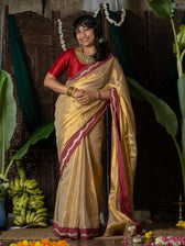 Ponvaani -  Gold Cotton Tissue Saree with Red & Gold Lace Border