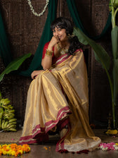 Ponvaani -  Gold Cotton Tissue Saree with Red & Gold Lace Border