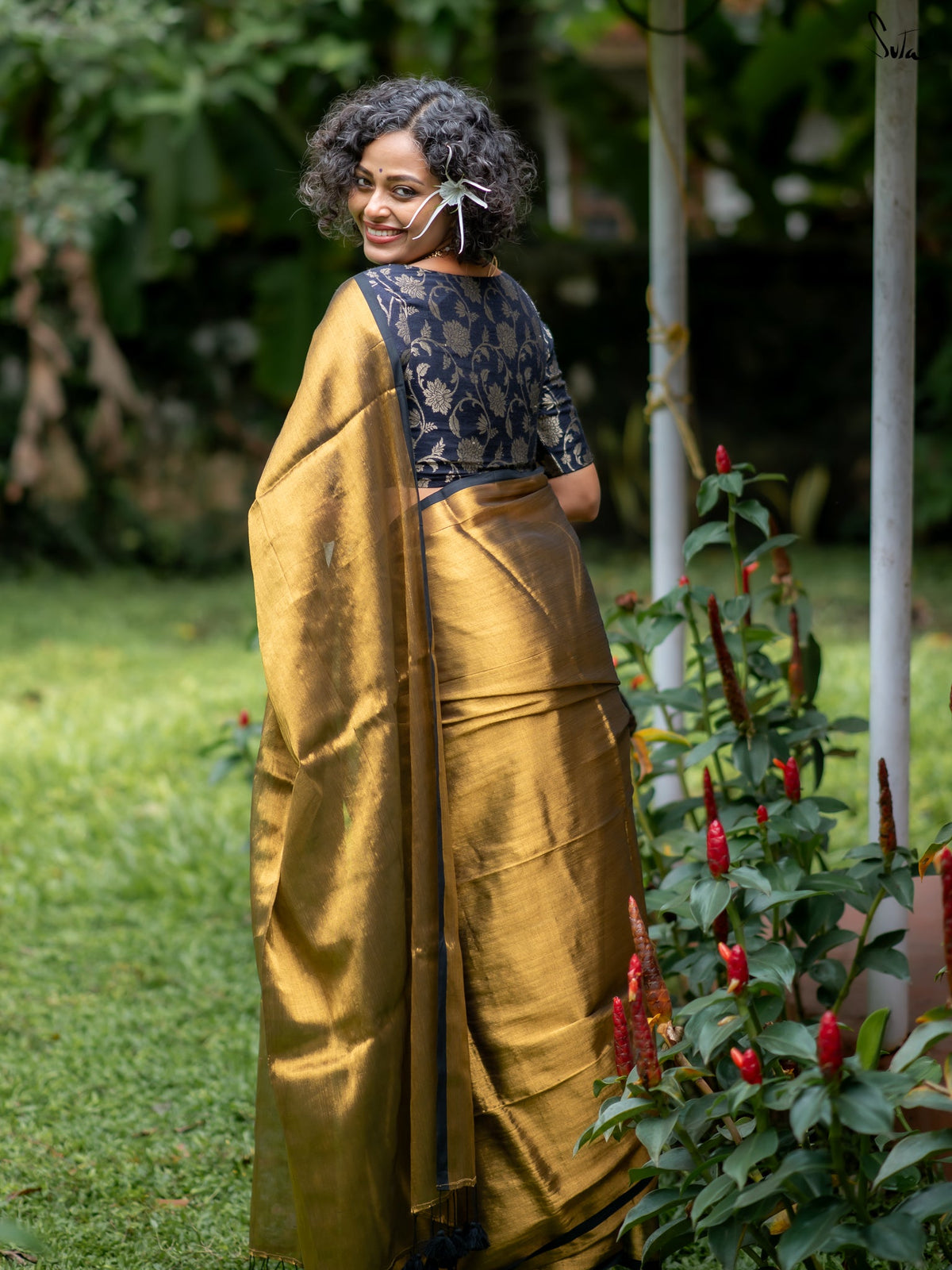 Suta Gold Tissue Saree