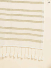 Cloud Song Saree