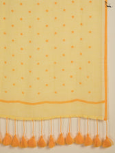 Classy Polka Saree