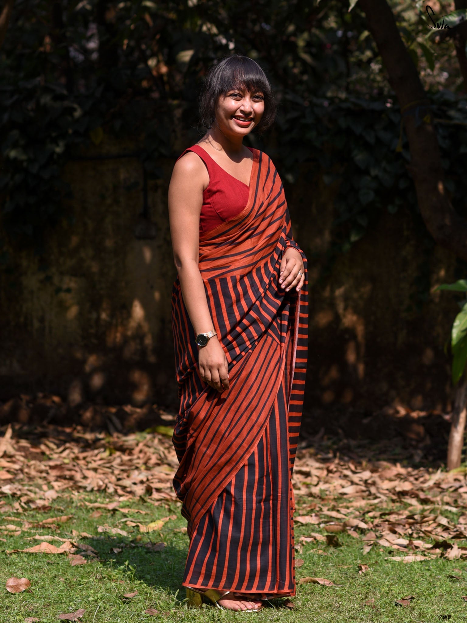 The Line Of Brown Saree