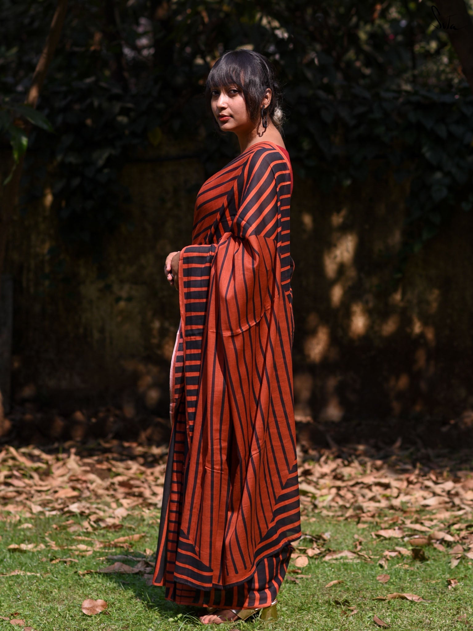 The Line Of Brown Saree