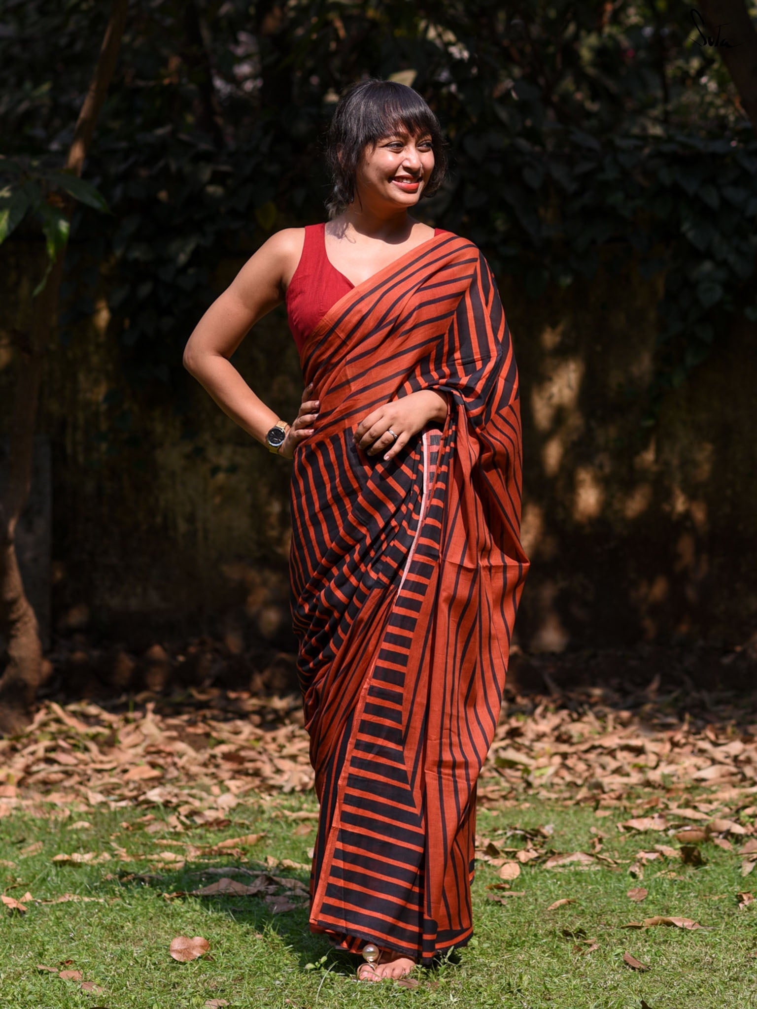 The Line Of Brown Saree