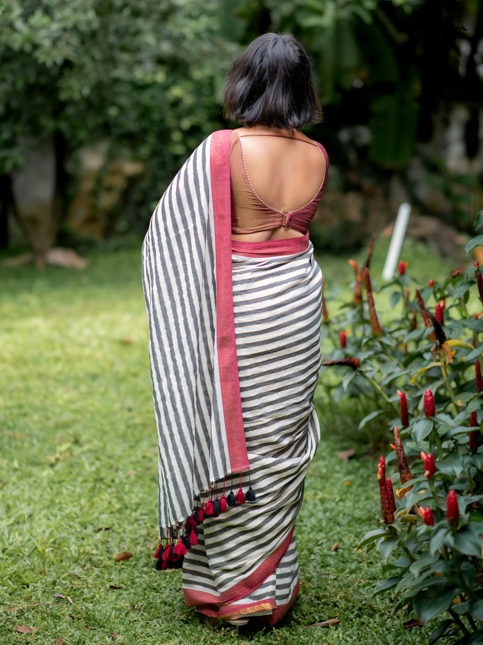 Suta White Pure Cotton Saree
