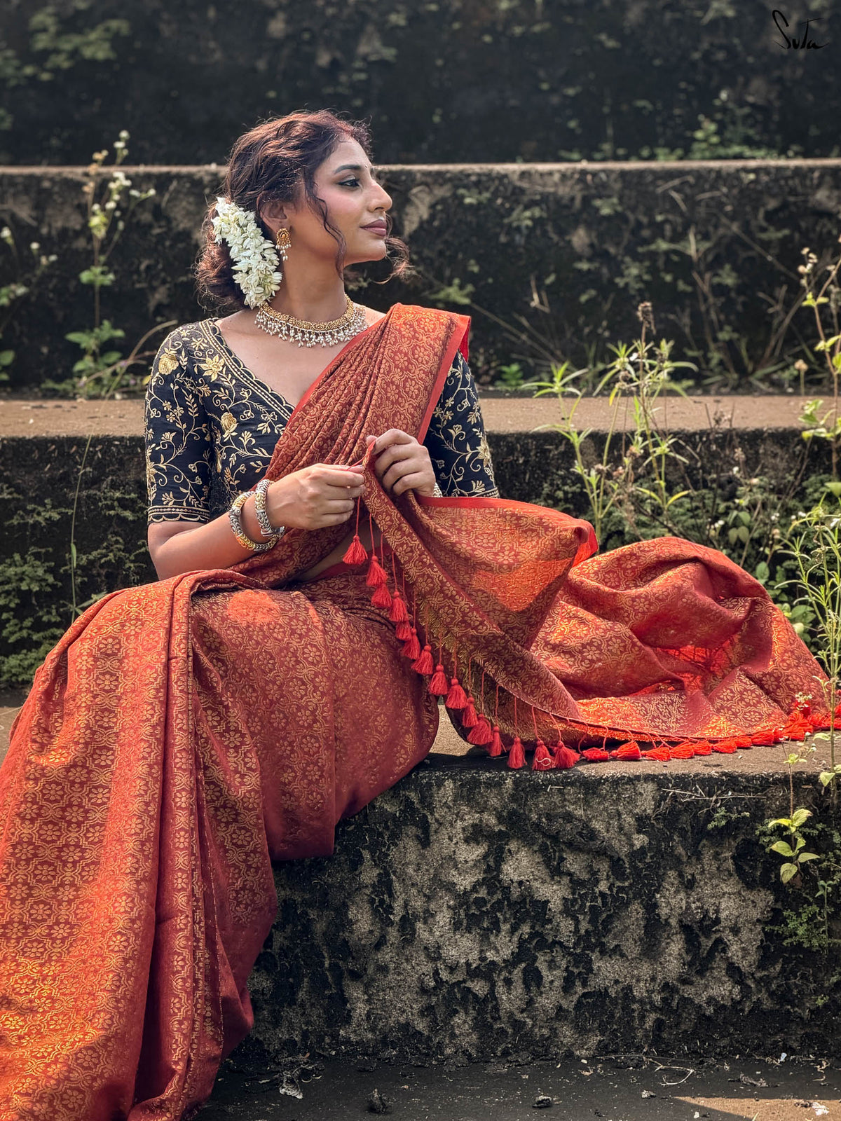 Saanjh Bulbul