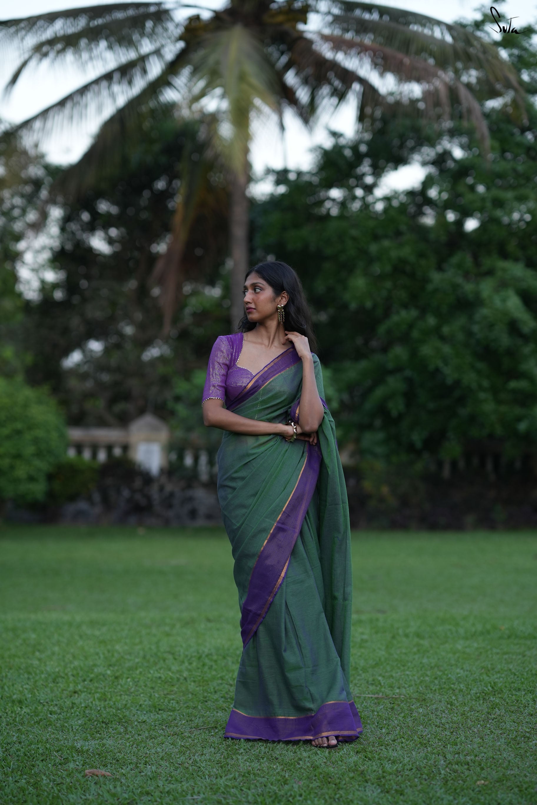 Stripe Border Mul Zari saree 7
